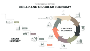 Infographic comparing circular economy model versus traditional linear economy